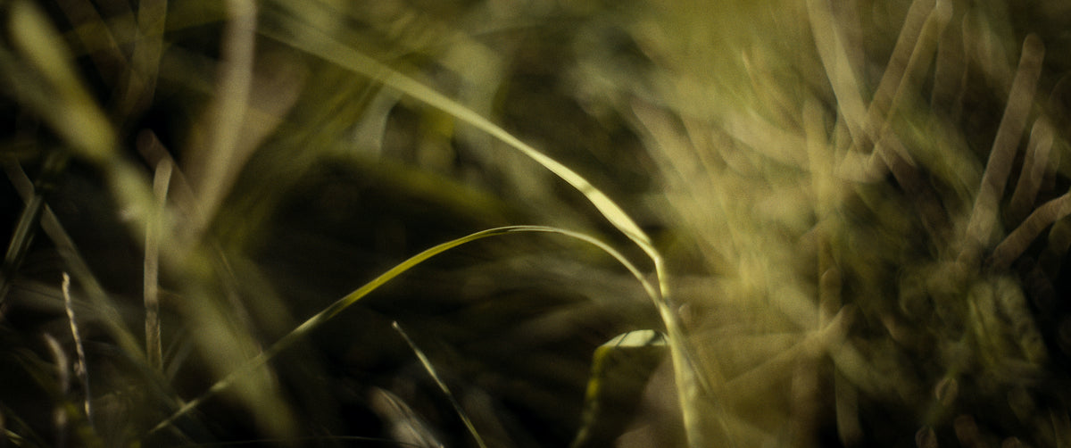 "ERRATIC FIELDS" - EXPERIMENTAL SHORT FILM TEASER TRAILER (2025)