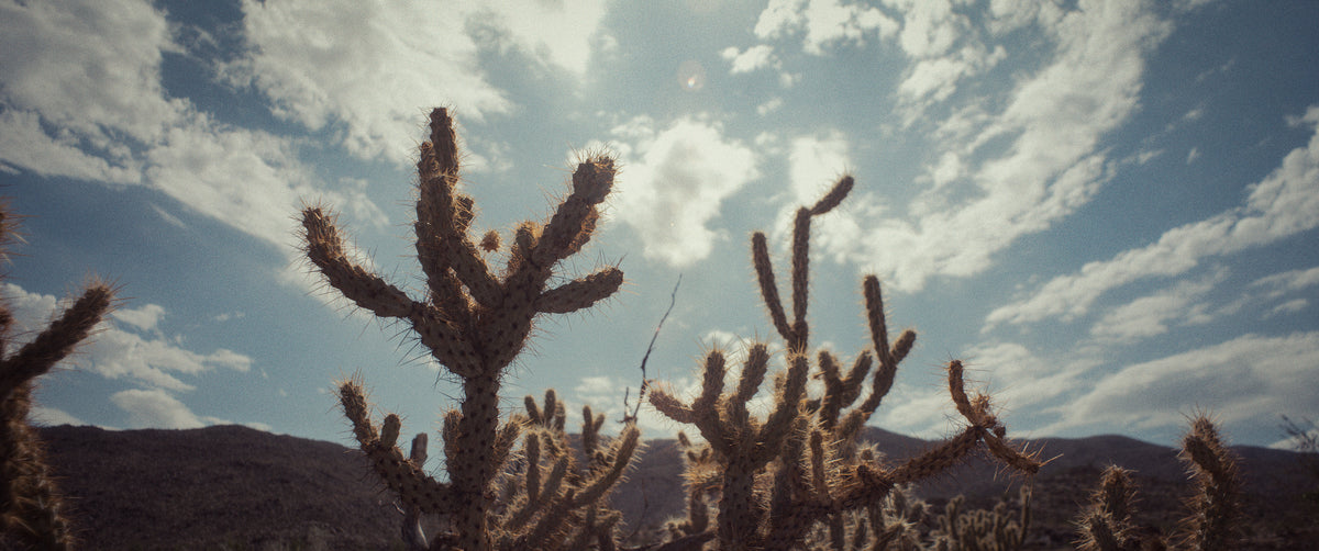 "ERRATIC FIELDS" - EXPERIMENTAL SHORT FILM TEASER TRAILER (2025)