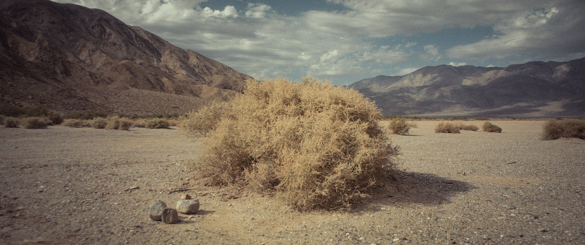 "ERRATIC FIELDS" - EXPERIMENTAL SHORT FILM TEASER TRAILER (2025)