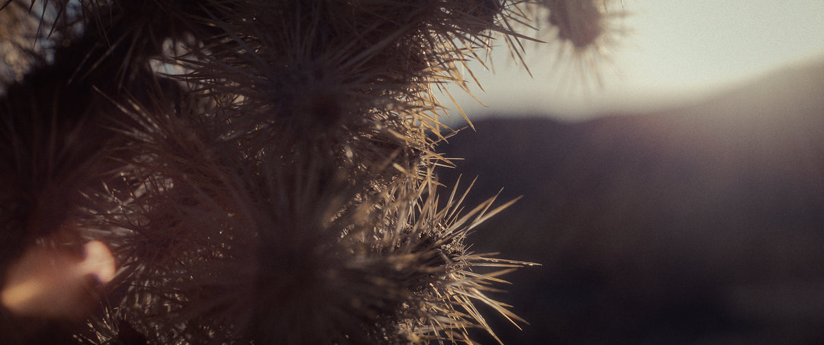 "ERRATIC FIELDS" - EXPERIMENTAL SHORT FILM TEASER TRAILER (2025)