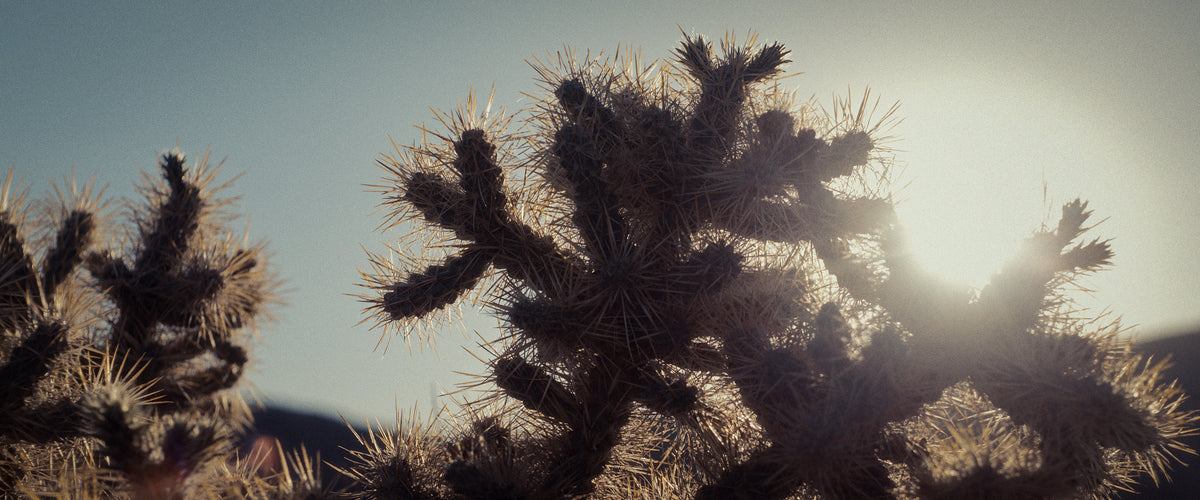 "ERRATIC FIELDS" - EXPERIMENTAL SHORT FILM TEASER TRAILER (2025)